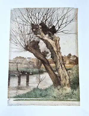 Adrianus Johannes Grootens - Fraaie jaren 30 kleuren zeefdruk "Knotwilg" - potloodgesigneerd kopen? Bied vanaf 42!