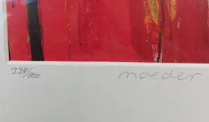 Corine Annelies van Dolder - Moeder kopen? Bied vanaf 30!