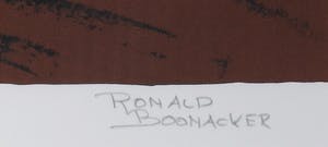 Ronald Boonacker - Zeefdruk, Villa Montesoggione - Ingelijst (Groot) kopen? Bied vanaf 80!