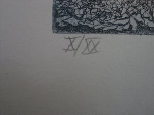 Hadewijch Ouwendijk - Zeer kleine oplage (20ex) Handgekleurde Litho "vier jaargetijden" kopen? Bied vanaf 1!