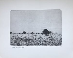 Don Englander - Het Twentse Landschap kopen? Bied vanaf 50!