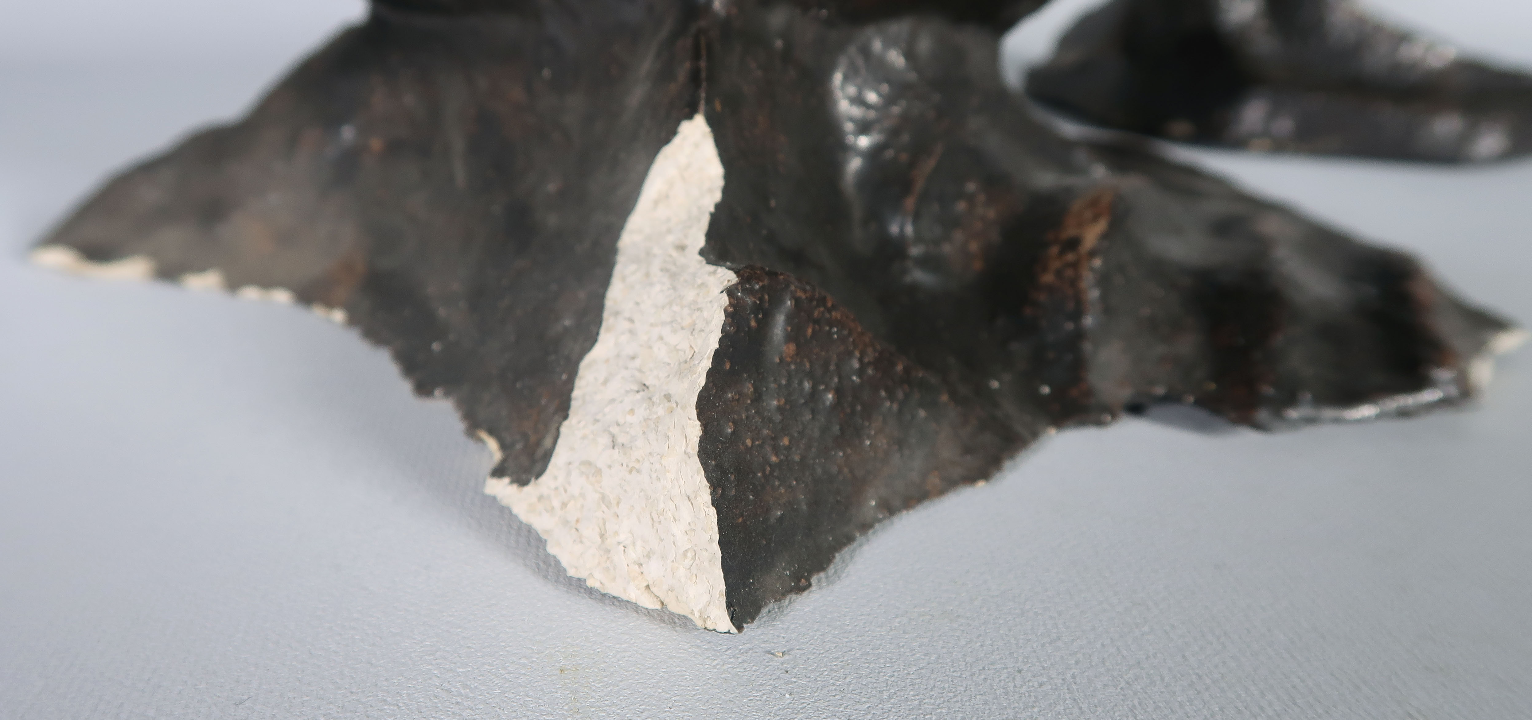 Toon Gielen - Beschilderd en geglazuurd keramiek, Vis kopen? Bied vanaf 1!