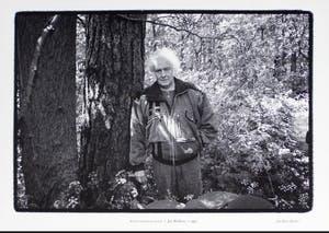 Jan Wolkers - Winterbeeld VIII kopen? Bied vanaf 225!