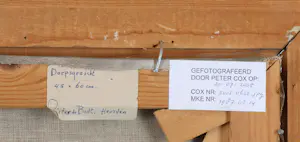 Pieter de Bodt - Dorpsgezicht kopen? Bied vanaf 400!