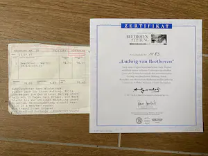 Andy Warhol - Ludwig van Beethoven kopen? Bied vanaf 25!