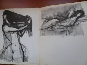 Shraga Weil - The Song of Solomon kopen? Bied vanaf 1!