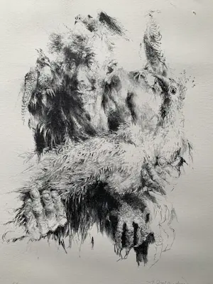 Jan Mensinga - Litho Oude Man met Vogels kopen? Bied vanaf 35!