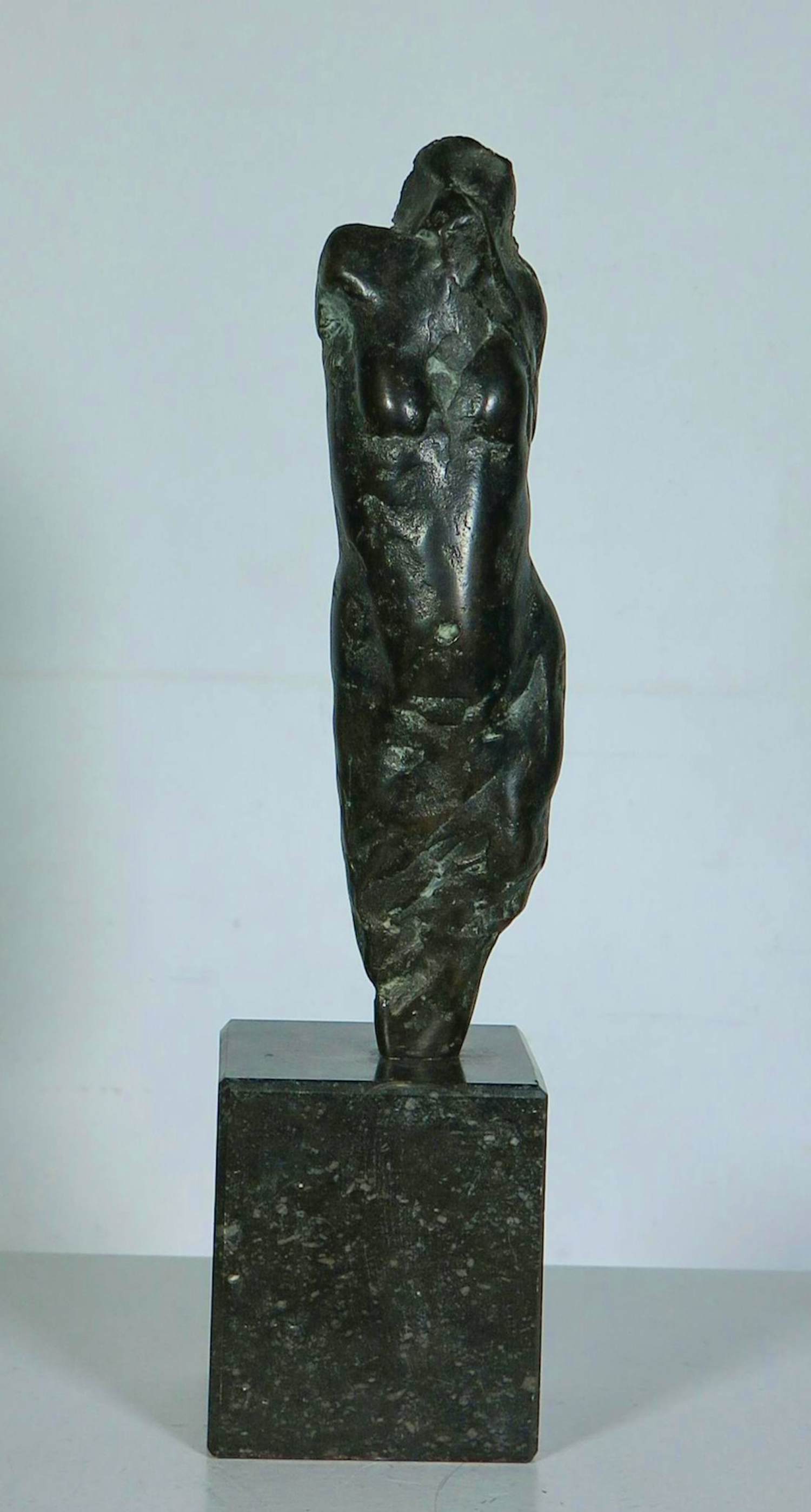 Kiny Copinga - Brons, Torso kopen? Bied vanaf 375!