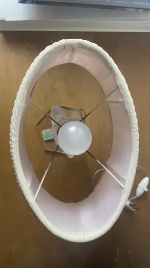 Rene Lalique - Tischleuchte mit Vögeln, gefrostetes Glas kopen? Bied vanaf 490!