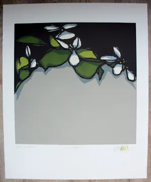 Fon Klement - Boardsnede: Printemps - 1996 kopen? Bied vanaf 125!