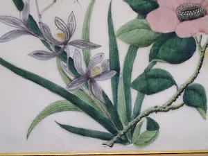 Niet of onleesbaar gesigneerd - Vlinder in bloemenpartij kopen? Bied vanaf 1!