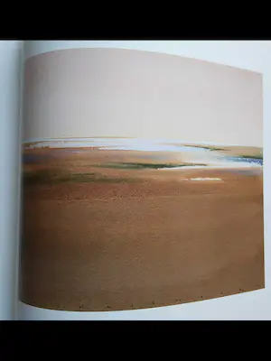 Jan Groenhart - Monografie Monique de Groot gesigneerd door de kunstenaar. kopen? Bied vanaf 10!