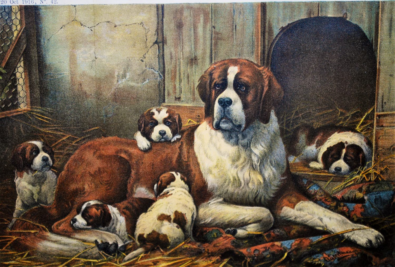 Otto Eerelman - St Bernard met jongen - kleurenlitho 1916 - fraai ingelijst verkocht voor € 45!
