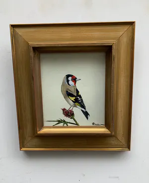 Henk Poeder - Vogel kopen? Bied vanaf 89!