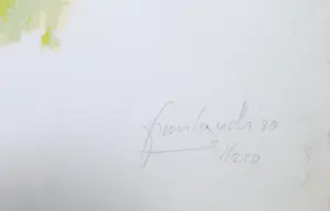 Frank Gude - Computerprint, Sporter kopen? Bied vanaf 1!