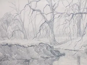 Arend Jan van Driesten - Bosgezicht met vijver - Tekening kopen? Bied vanaf 1!