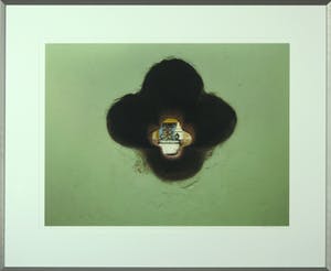 Mark Verdoes - Foto, Buddha love schuttersbloem - Ingelijst kopen? Bied vanaf 1!