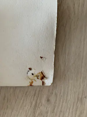 Zoltin Peeter - IJsberg? kopen? Bied vanaf 150!