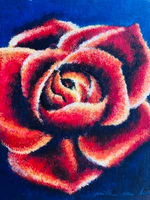 Willem van Hest - - Roos - verkocht voor € 45!