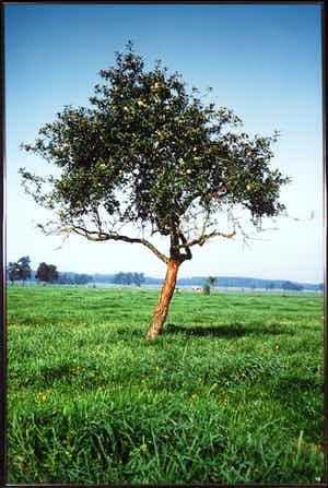 Paul Huf - C-Print, Drenthe - Ingelijst (Zeer groot) verkocht voor € 100!