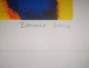 Saskia Bremer - Fruitful cooperation kopen? Bied vanaf 39!