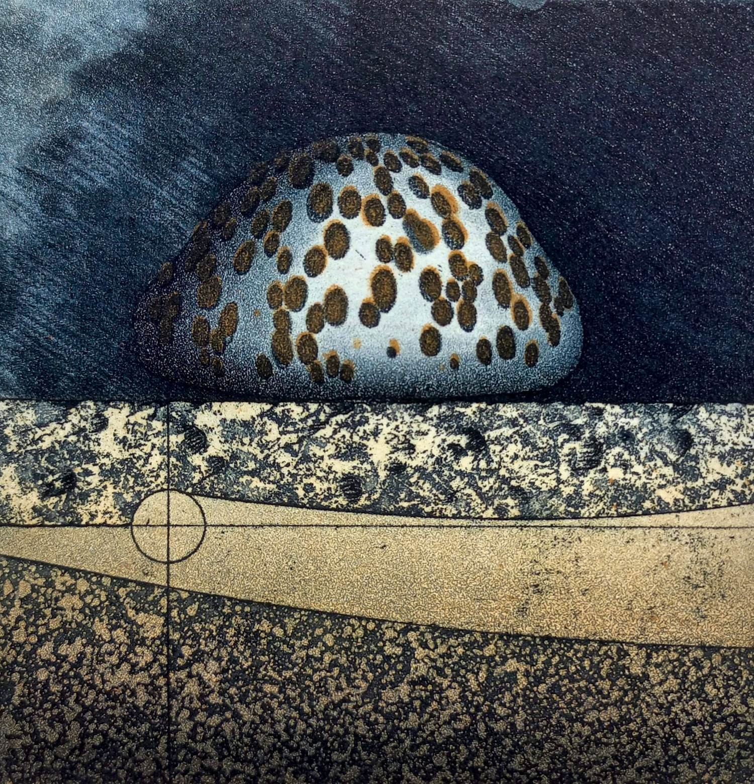 Chris van Otterloo - Tijger kauri schelp, aquatint ets kaufen? Bieten Sie von 75!