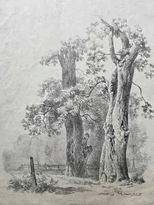 Barend Cornelis Koekkoek - Bomen. Litho. kaufen? Bieten Sie von 20!