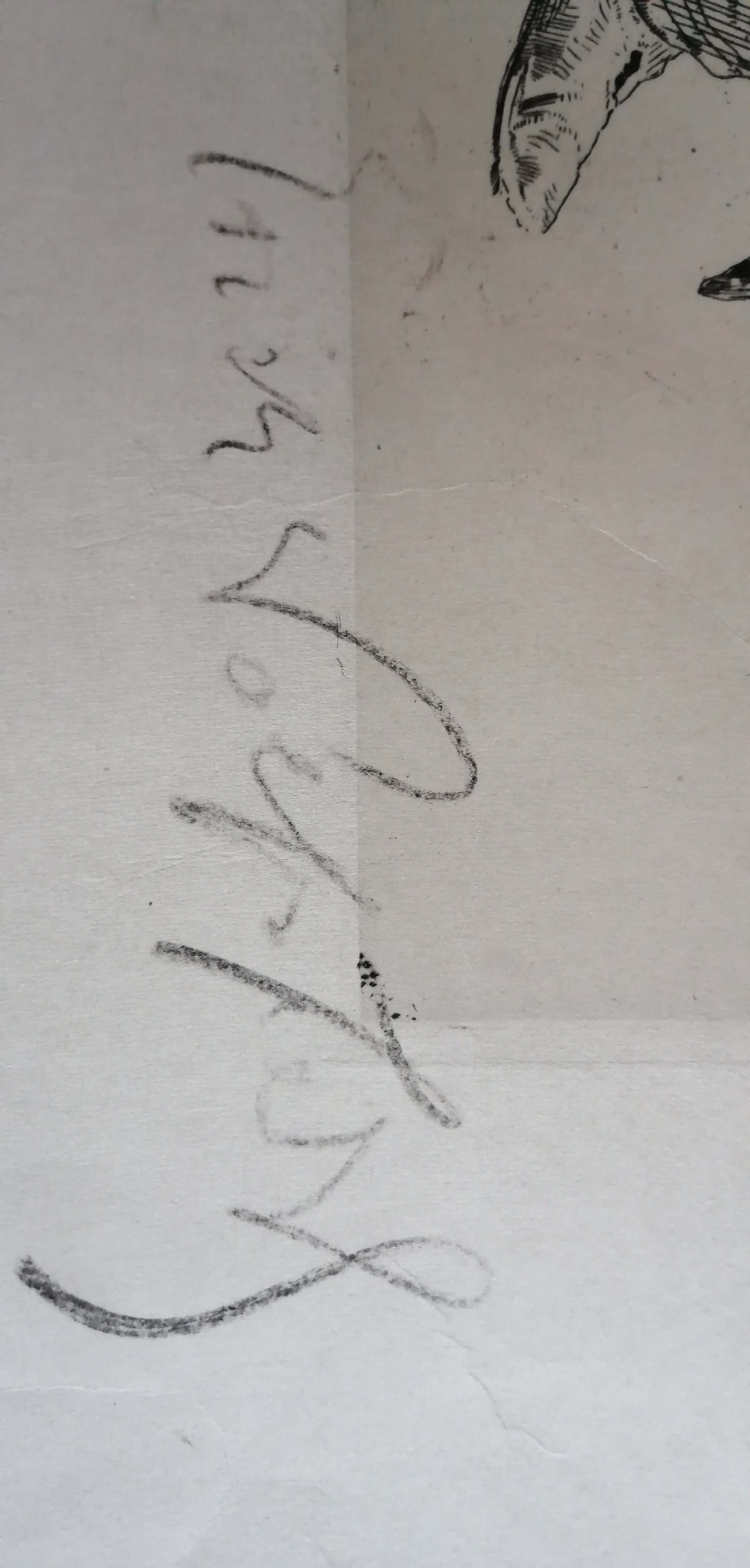 Erich Wolfsfeld - Komische Alter kopen? Bied vanaf 45!