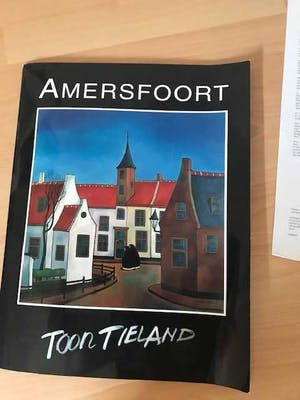 Toon Tieland - 4 x Stadgezichten Amersfoort kopen? Bied vanaf 400!