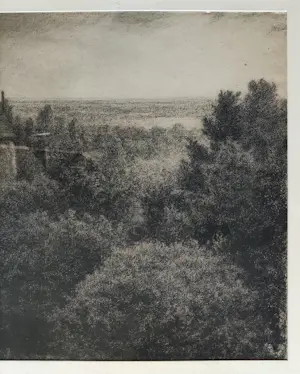 Jan Coenraad Nachenius - Landschap kopen? Bied vanaf 50!