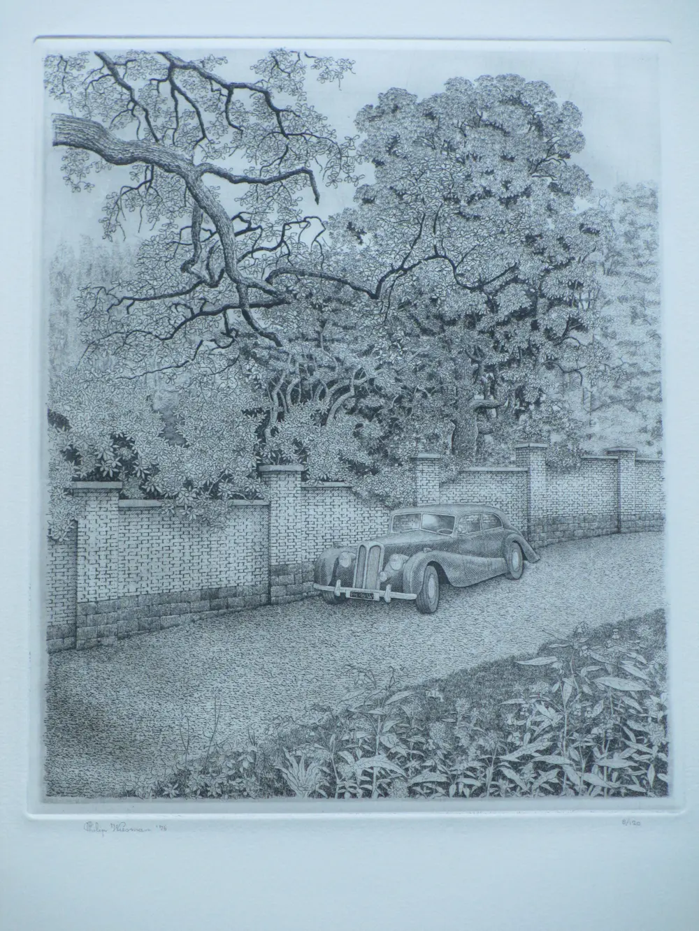 Philip Wiesman (1946)