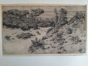 Hendrik Henrichs - Ets, landschap. kopen? Bied vanaf 20!