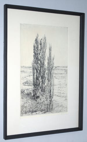 Jan Coenraad Nachenius - ets - Gezicht op de Rijn vanaf de Wageningse berg kopen? Bied vanaf 40!