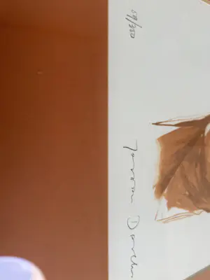 Jeroen Dercksen - Torso van een vrouw, zeefdruk kopen? Bied vanaf 50!