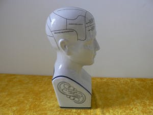 Curiosa - Phrenology head by L.N.Fowler - Met Kleur kopen? Bied vanaf 60!
