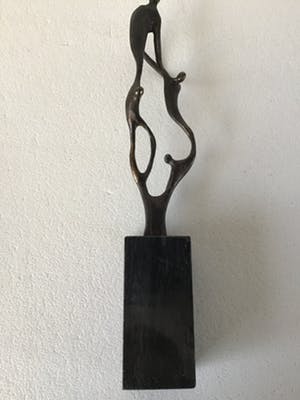 Corry Ammerlaan - Toekomst door Samenwerken kopen? Bied vanaf 35!