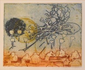 Jan Montyn - 'Los mundos Brasil' (9/25) kopen? Bied vanaf 125!