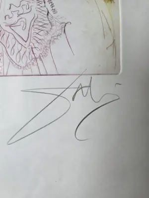 Salvador Dali - Le Decameron 1972 kopen? Bied vanaf 350!