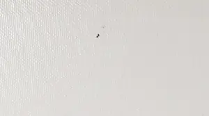 Henk Klinkhamer - Acryl op doek, Street artist (Groot) kopen? Bied vanaf 150!