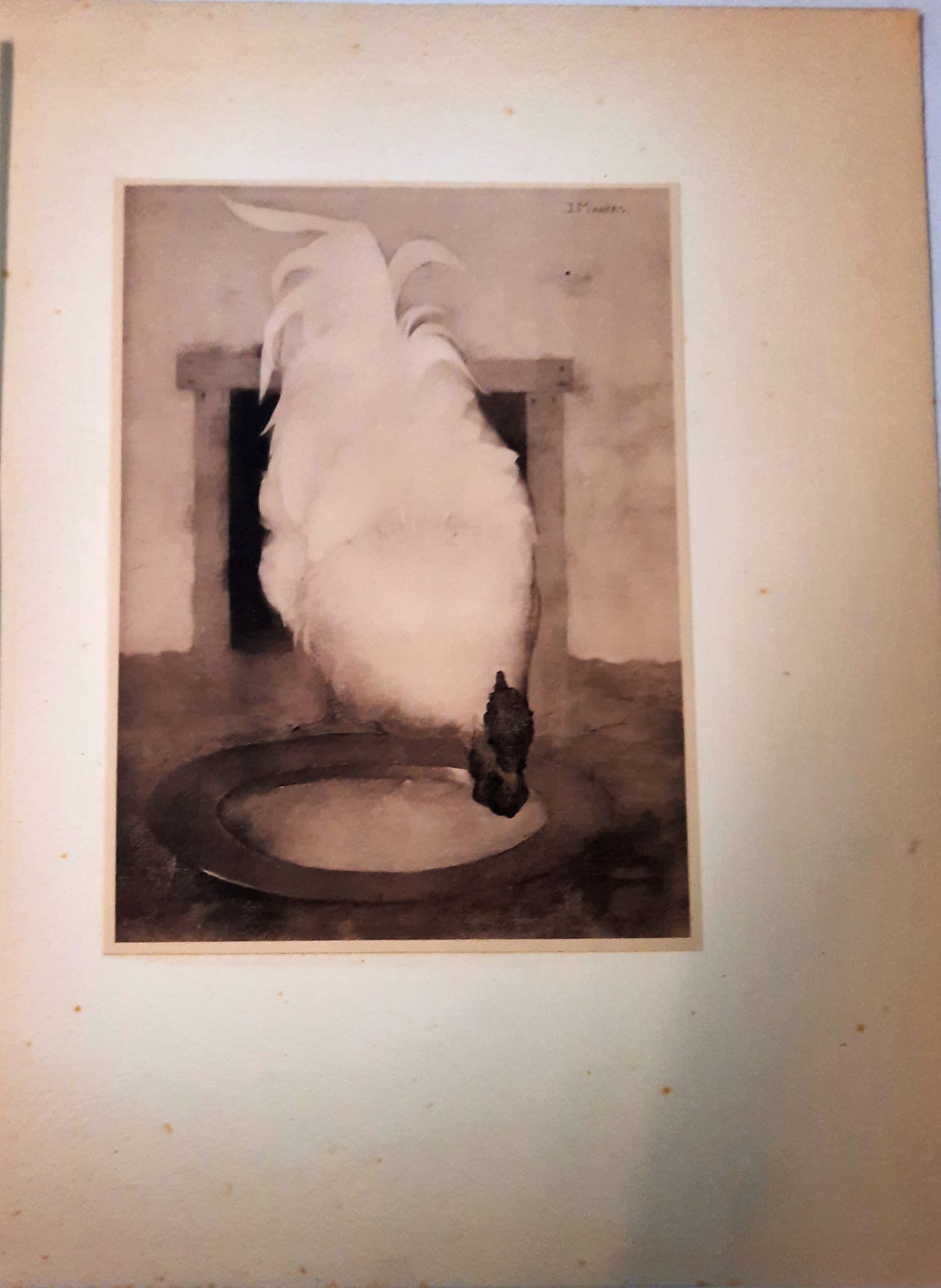 Jan Mankes - Wyandotte haan kopen? Bied vanaf 1!