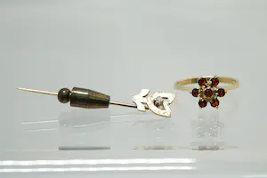 21- Klassieke 14 karaats gouden rozet ring + 14 krt gouden speld met diamantje kopen? Bied vanaf 120!