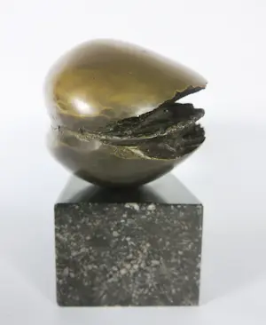 Wout Maters - Brons, Mossel kopen? Bied vanaf 350!