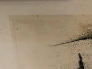 Harry op de Laak - Ets‼️ kopen? Bied vanaf 25!