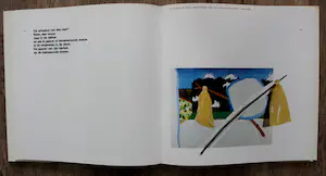Roger Raveel - boek - gesigneerd - 1981 - oplage: 100 gesigneerde stuks kopen? Bied vanaf 125!