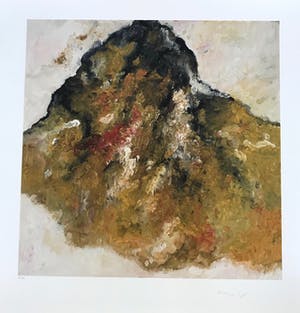 Armando - Prachtige Giclée - 2017 - 27/30 - Gesigneerd en genummerd kopen? Bied vanaf 85!