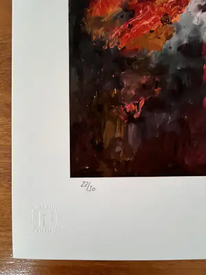 Armando - Exclusieve kleurengiclée - gesigneerd en genummerd 22/30 kopen? Bied vanaf 135!