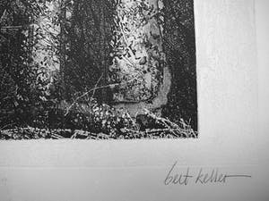 Bert Keller - Bosgezicht -ets mezzotint 1989- kopen? Bied vanaf 15!