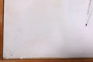 Mark Polee - Acryl op doek, Schilderij met vis - Ingelijst kopen? Bied vanaf 1!