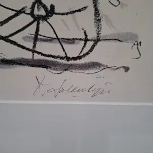 Kees Salentijn - Zeefdruk, De stadsfietser ingelijst kopen? Bied vanaf 60!