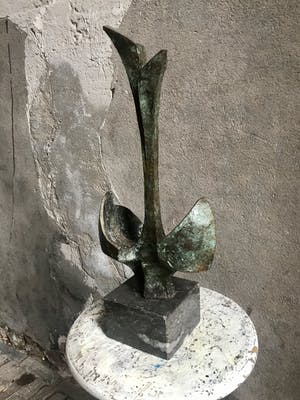 Rien Goene - Groei kopen? Bied vanaf 1450!